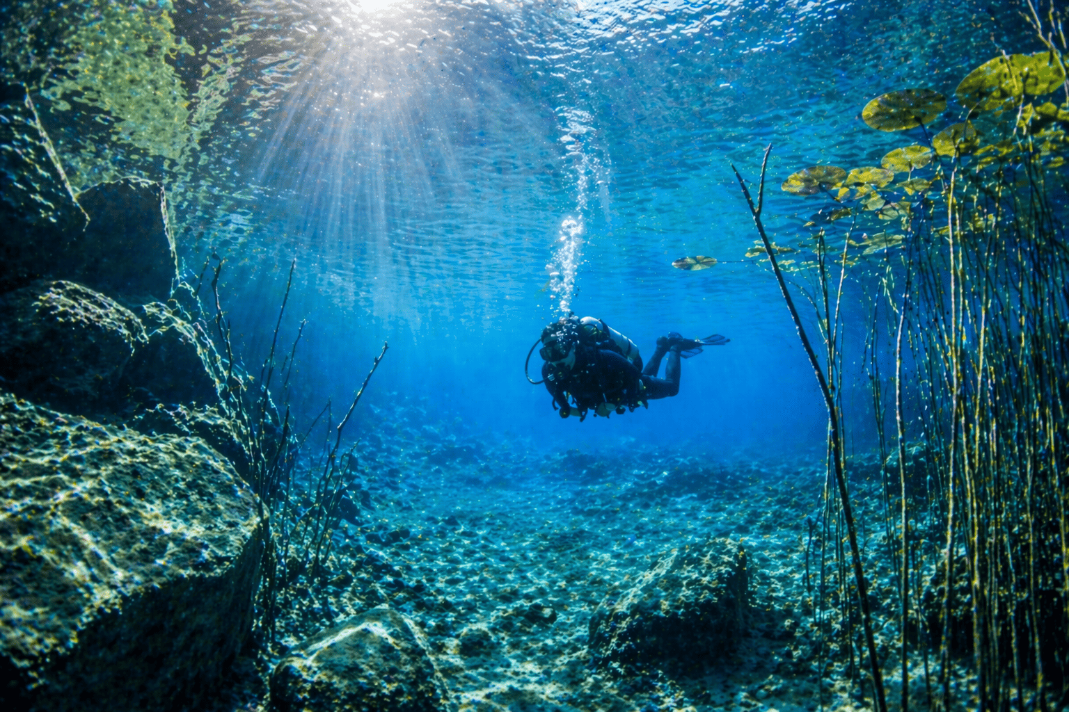 Scuba Diving Hagenberg Tauchen im klaren blauen Teich mit Pflanzen und Sonnenstrahlen